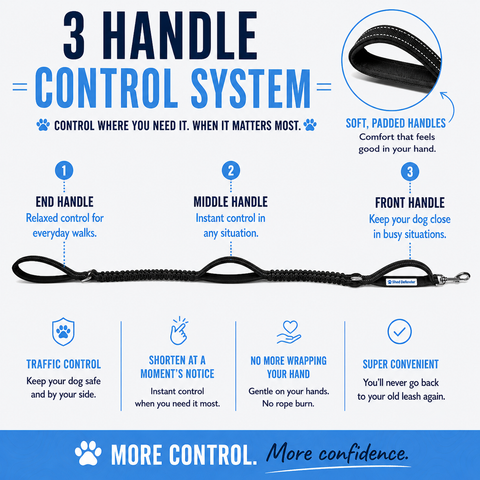 Bungee Leash 4-6 ft.