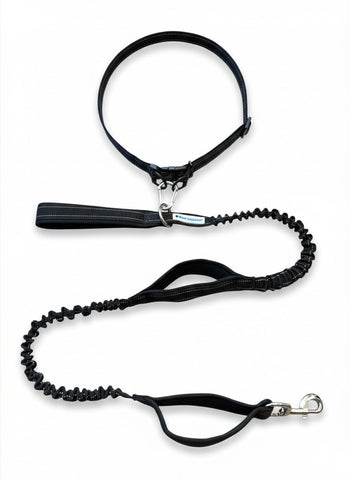 Hands Free Leash Belt