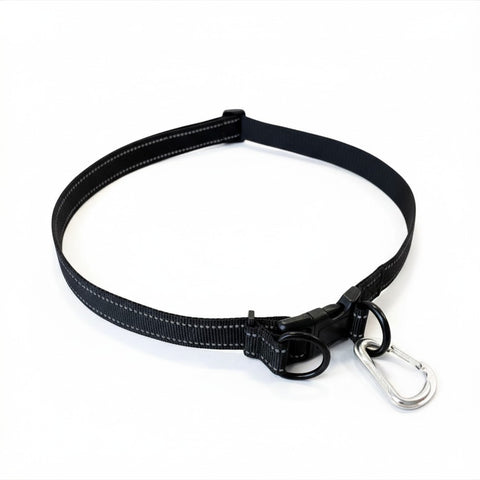 Hands Free Leash Belt