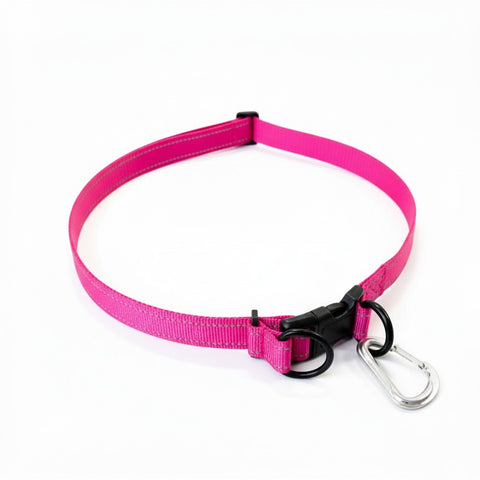 Hands Free Leash Belt