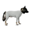 Sport Dog Onesie