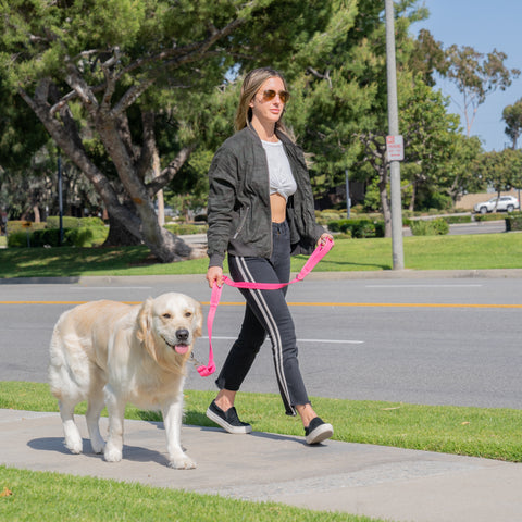 Standard Three Padded Handle Dog Leash Heavy Duty