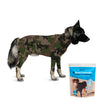 Sport Dog Onesie