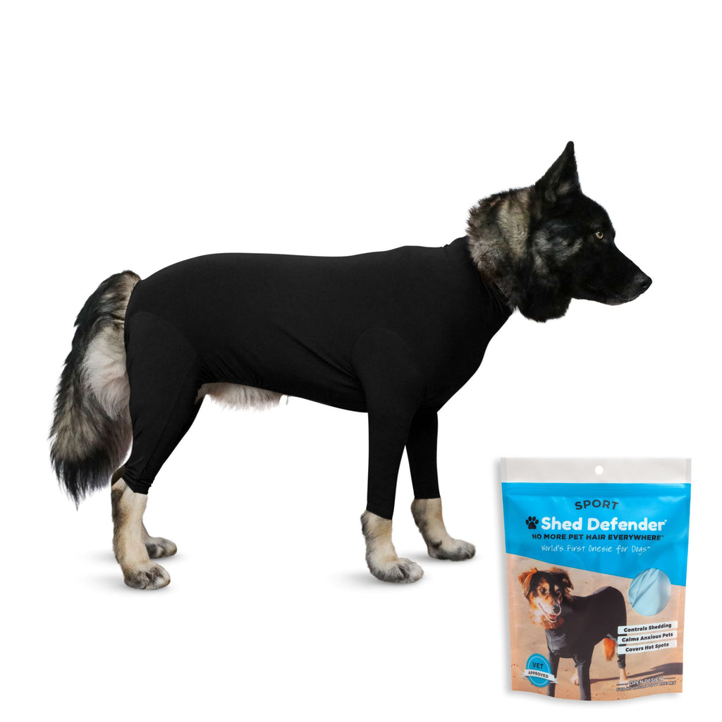 A dog wearing a Black Shed Defender Sport onesie, which is a long-sleeved, full-body garment designed to prevent shedding.