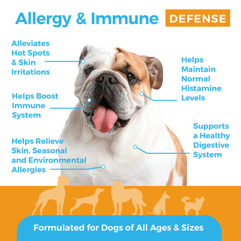 Allergy & Immune System Defense Soft Chews - 90 ct.