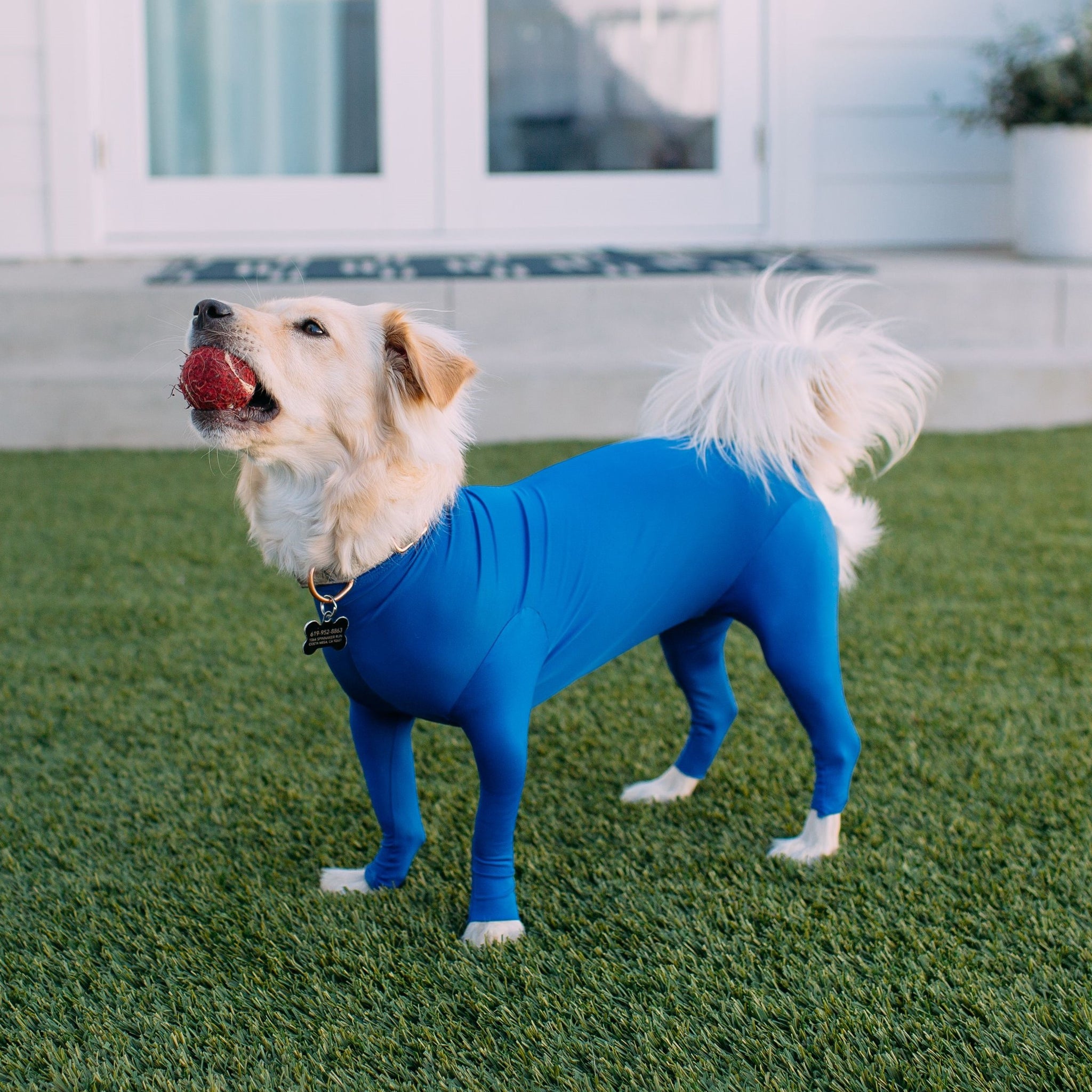 Shed Defender® Original Dog Onesie Contains Shedding, Use PostSurgery